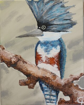 Acrylic Painting: Belted Kingfisher on sturdy limb, thinks he heard a fish. - image1